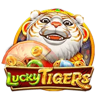 Live Casino at 8k8